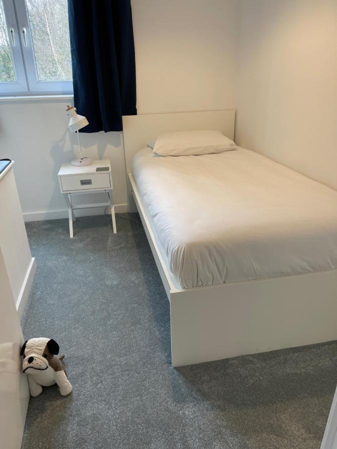The Beeches - Serviced Duplex Apartment シェフィールド エクステリア 写真
